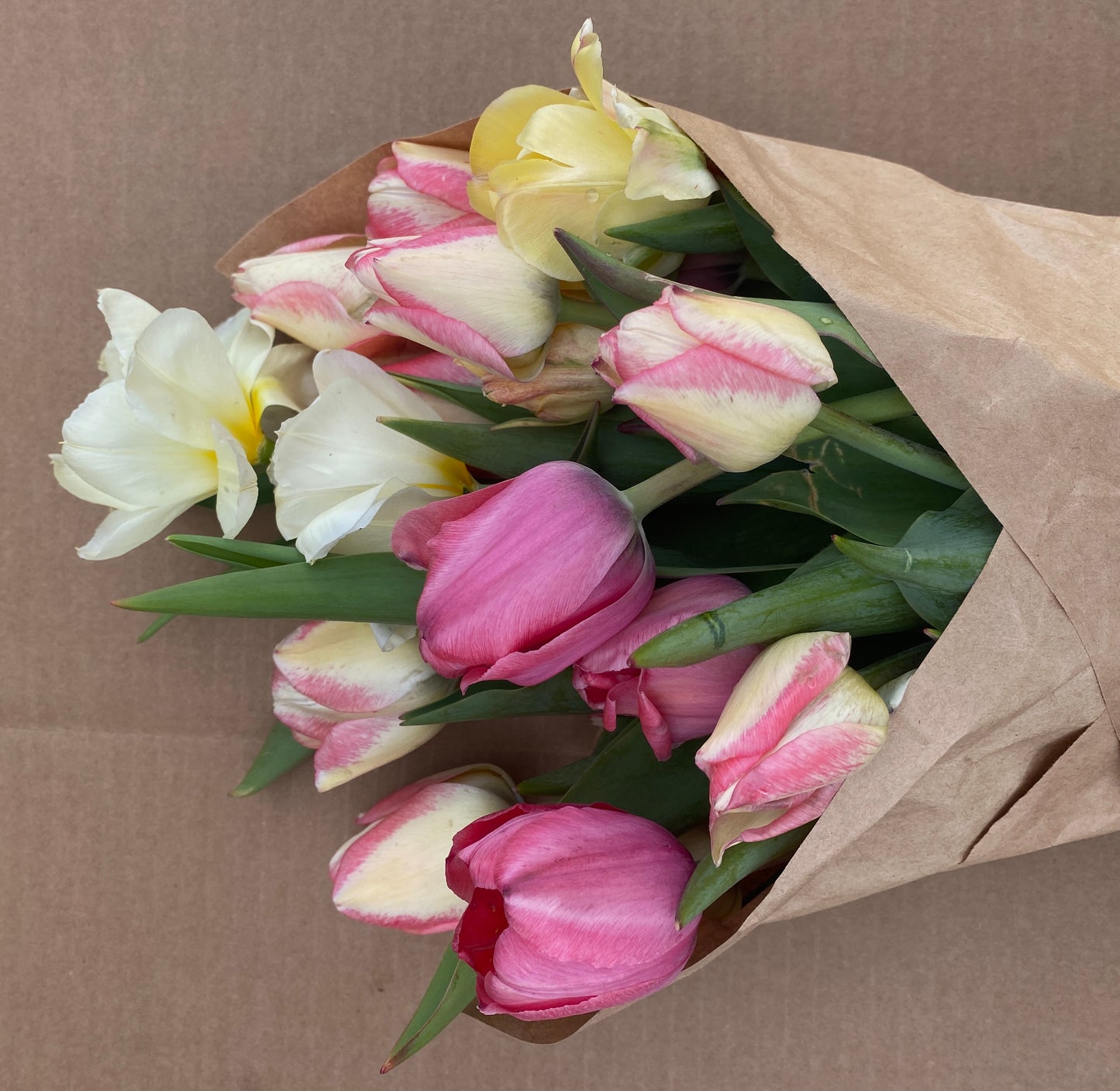 15 stem Tulip Bouquet wrapped (local delivery included)